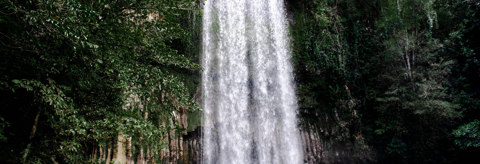 Top 9 Best Waterfalls Near Cairns